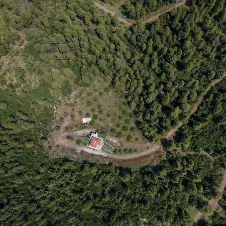 Dream House Capturing The Magic Of Nature Vlachia Exterior foto