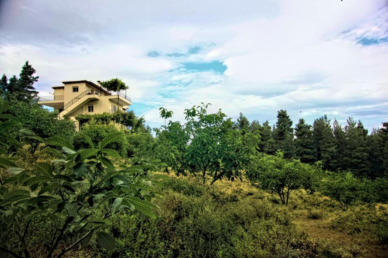 Dream House Capturing The Magic Of Nature Vlachia Exterior foto