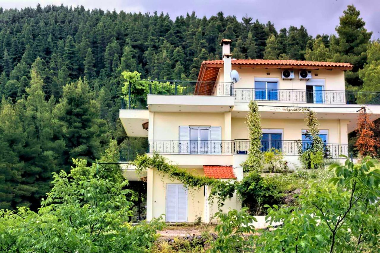 Dream House Capturing The Magic Of Nature Vlachia Exterior foto
