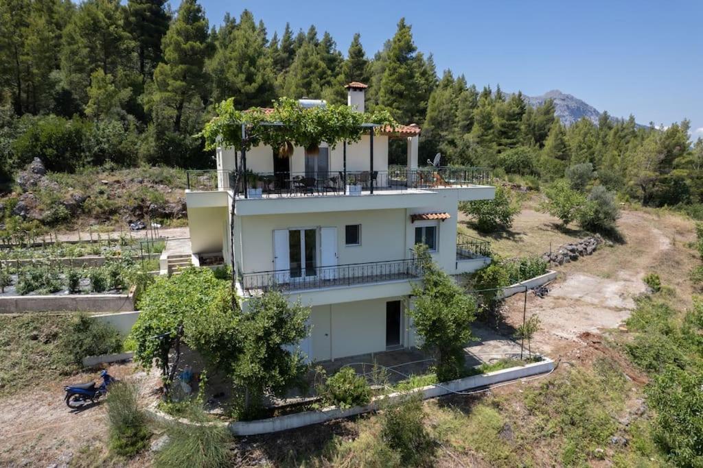 Dream House Capturing The Magic Of Nature Vlachia Exterior foto