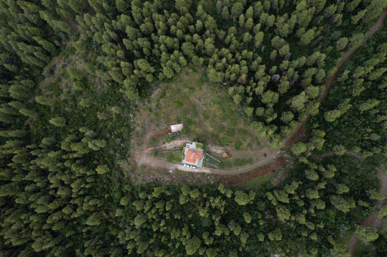 Dream House Capturing The Magic Of Nature Vlachia Exterior foto